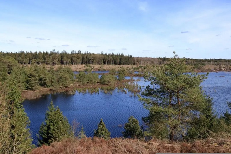 9001cc金沙以诚为本(中国集团)有限公司官网