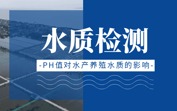 9001cc金沙以诚为本(中国集团)有限公司官网