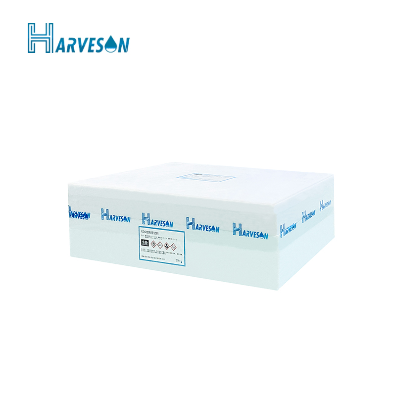 9001cc金沙以诚为本(中国集团)有限公司官网