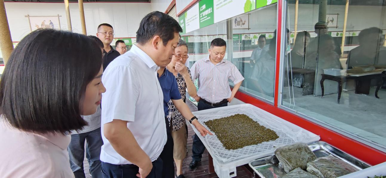 省腾博手机官网集团党委副书记、董事陈日赴嘉陵区调研茶桑工业生长情形