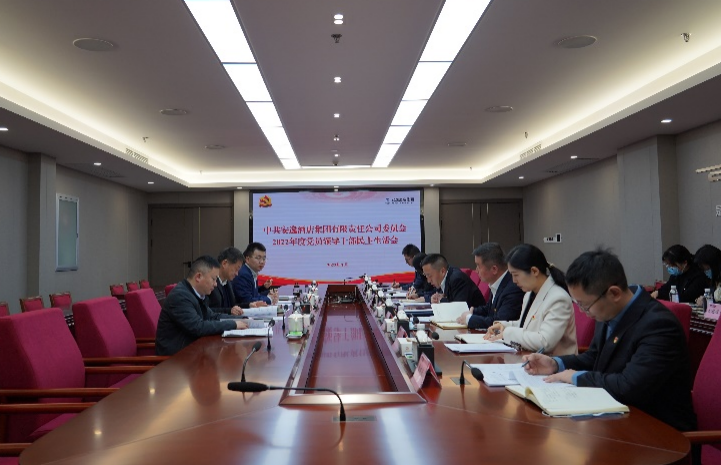 腾博手机官网集团党委书记、董事长任丁出席逍遥旅馆集团2022年度党员向导干部民主生涯会